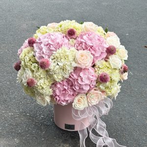 Hộp hoa Cẩm Tú Cầu Hồng mix Trắng H106