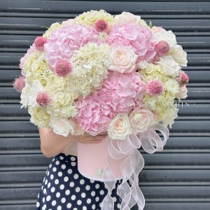 Hộp hoa Cẩm Tú Cầu Hồng mix Trắng H106