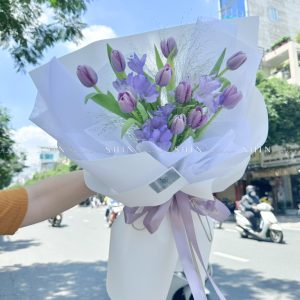 Hoa Bó 10 Tulip Tím S374