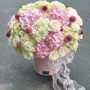 Hộp hoa Cẩm Tú Cầu Hồng mix Trắng H106