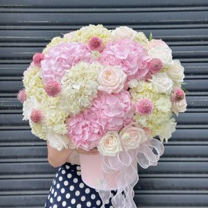 Hộp hoa Cẩm Tú Cầu Hồng mix Trắng H106