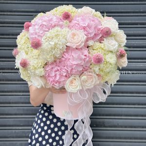 Hộp hoa Cẩm Tú Cầu Hồng mix Trắng H106