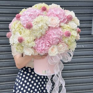 Hộp hoa Cẩm Tú Cầu Hồng mix Trắng H106