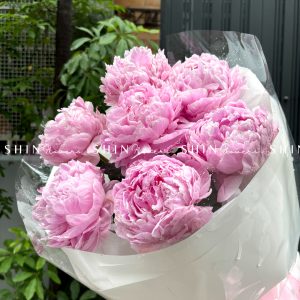 Hoa Bó 7 Mẫu Đơn Sarah Hồng S395