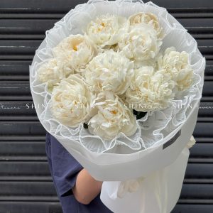 Hoa Bó Mẫu Đơn Trắng 10 Bowl Of Cream S388