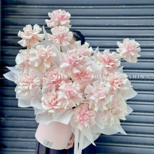 Lẵng 20 Bông Hoa Hồng Nhập Ecuador Pink Mondial H109