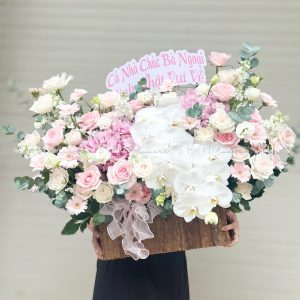 Hộp hoa Cẩm Tú Cầu Hồng chúc mừng H113