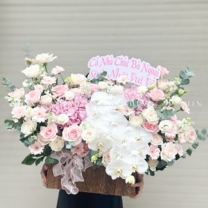 Hộp hoa Cẩm Tú Cầu Hồng chúc mừng H113