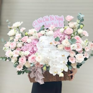 Hộp hoa Cẩm Tú Cầu Hồng chúc mừng H113