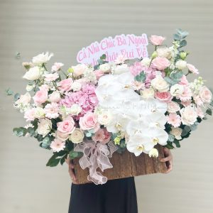 Hộp hoa Cẩm Tú Cầu Hồng chúc mừng H113
