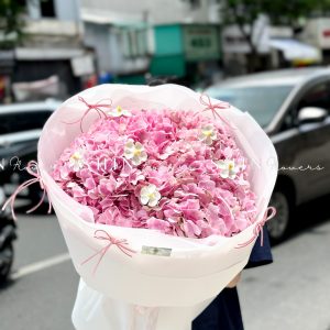 Hoa Bó 5 Cẩm Tú Cầu Hồng Côn Minh S511