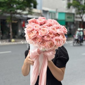 Cây Kem hoa hồng Julieta S510
