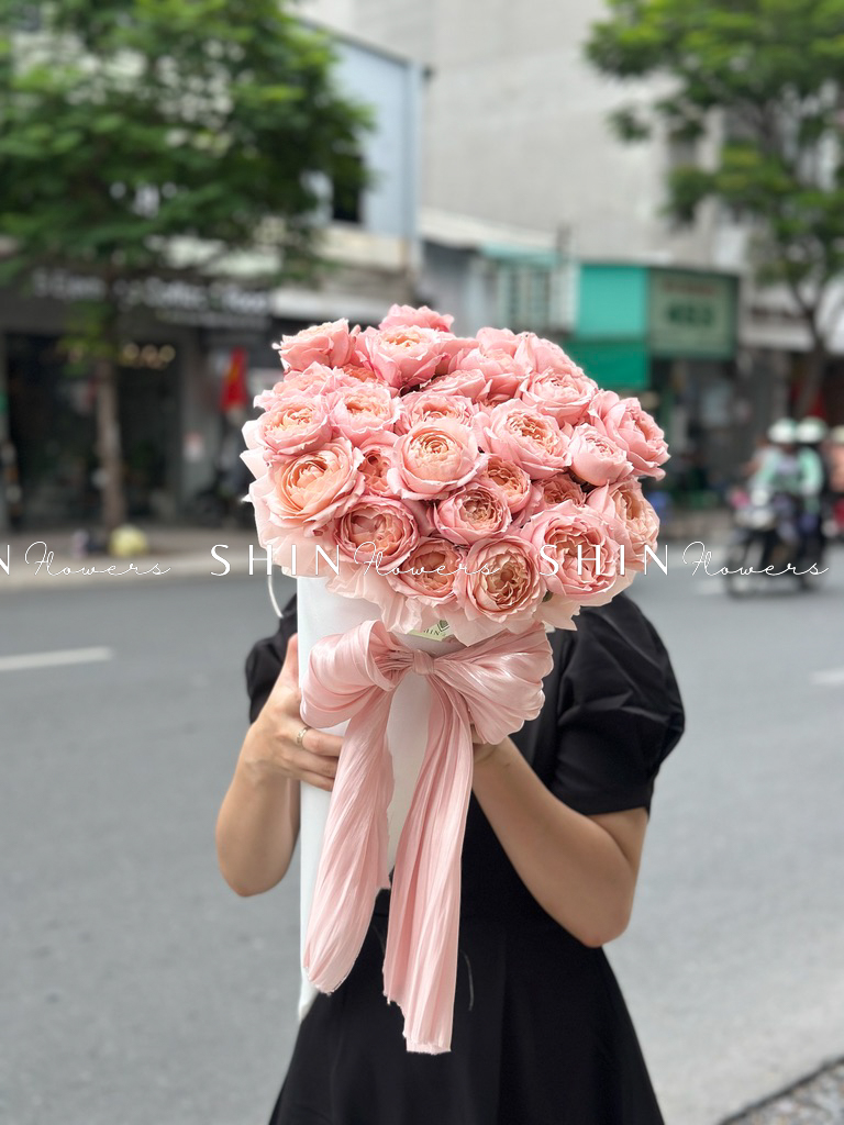 Cây Kem hoa hồng Julieta S510