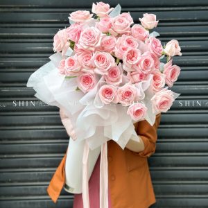 Cây kem hoa hồng ohara S490