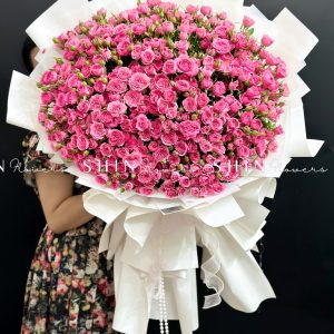Bó Hoa Hồng Chùm Sophie Siêu to Size XL S507