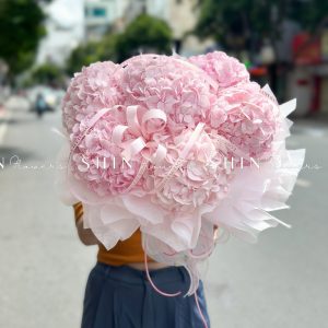 Hộp hoa 6 Cẩm Tú Cầu Hồng H115