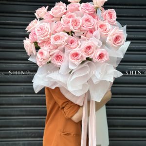 Cây kem hoa hồng ohara S490