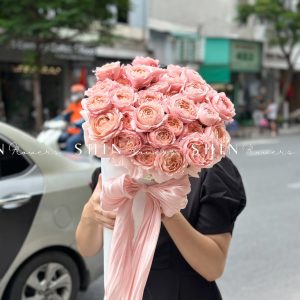 Cây Kem hoa hồng Julieta S510