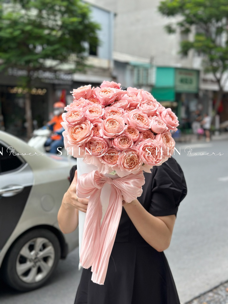 Cây Kem hoa hồng Julieta S510