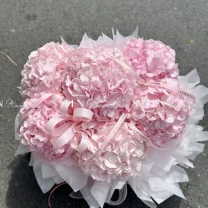 Hộp hoa 6 Cẩm Tú Cầu Hồng H115