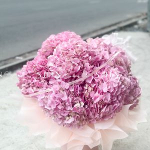 Hộp hoa 7 Cẩm Tú Cầu Hồng Đậm H117