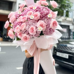 Cây kem Cẩm tú cầu hồng và hồng ohara S489