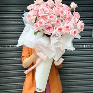 Cây kem hoa hồng ohara S490