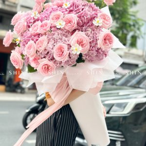 Cây kem Cẩm tú cầu hồng và hồng ohara S489