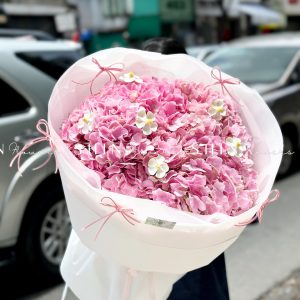 Hoa Bó 5 Cẩm Tú Cầu Hồng Côn Minh S511