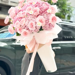 Cây kem Cẩm tú cầu hồng và hồng ohara S489