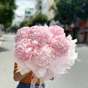 Hộp hoa 6 Cẩm Tú Cầu Hồng H115