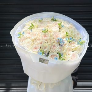 Bó Hoa 50 hồng trắng White Ohara mix Tweedia Xanh S485