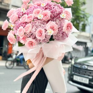 Cây kem Cẩm tú cầu hồng và hồng ohara S489