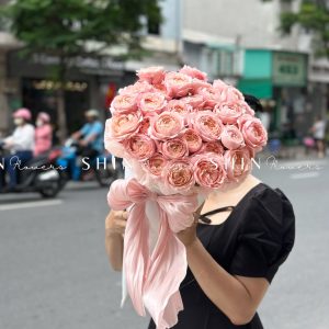 Cây Kem hoa hồng Julieta S510