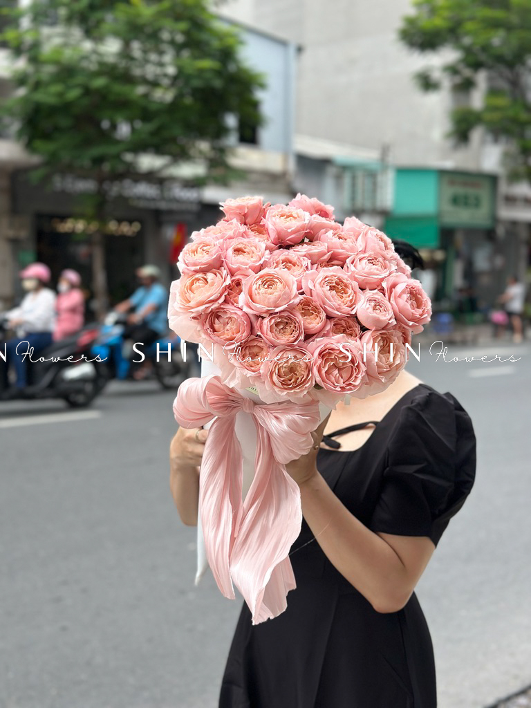 Cây Kem hoa hồng Julieta S510