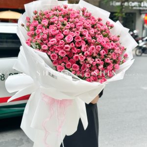 Bó Hoa Hồng Chùm Sophie Siêu to Size XL S507