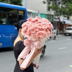 Cây Kem hoa hồng Julieta S510