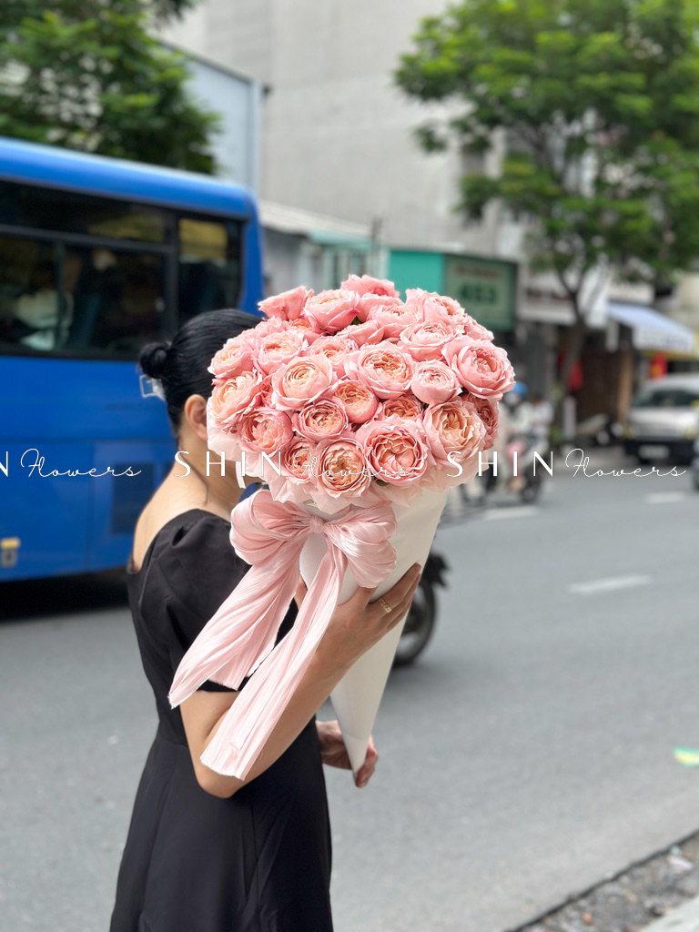 Cây Kem hoa hồng Julieta S510