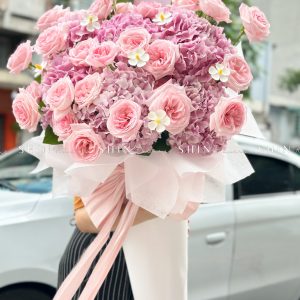 Cây kem Cẩm tú cầu hồng và hồng ohara S489