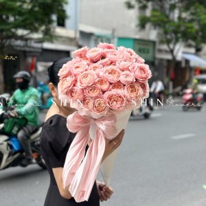 Cây Kem hoa hồng Julieta S510