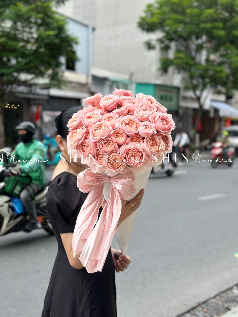 Cây Kem hoa hồng Julieta S510