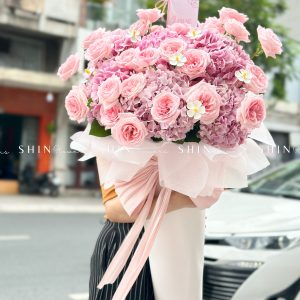 Cây kem Cẩm tú cầu hồng và hồng ohara S489