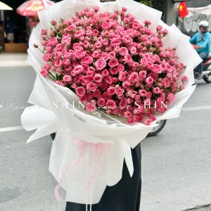 Bó Hoa Hồng Chùm Sophie Siêu to Size XL S507