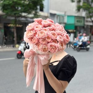 Cây Kem hoa hồng Julieta S510