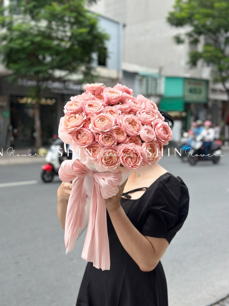Cây Kem hoa hồng Julieta S510