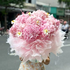 Hộp hoa 7 Cẩm Tú Cầu Hồng H116