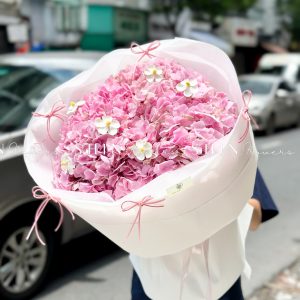 Hoa Bó 5 Cẩm Tú Cầu Hồng Côn Minh S511