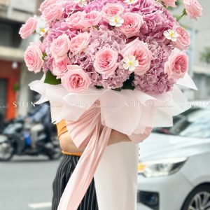 Cây kem Cẩm tú cầu hồng và hồng ohara S489