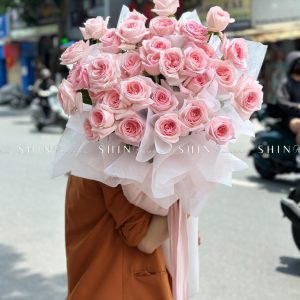 Cây kem hoa hồng ohara S490