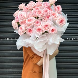 Cây kem hoa hồng ohara S490